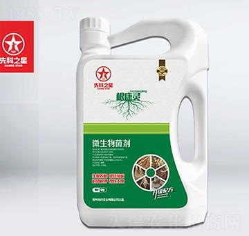 ΢�������-�����`-�ȿ�֮��