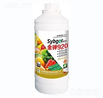 ���920-ʩ�۸�