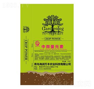 ����Ԫ���w����-�����f�S