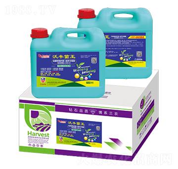 ���S����-�՝��S