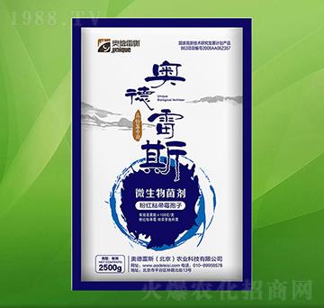 �R��팣��΢�������-�W����˹