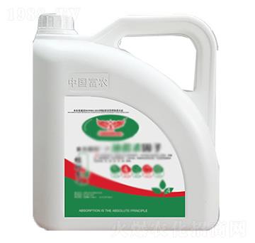 ��֬��-���r�Ƽ�