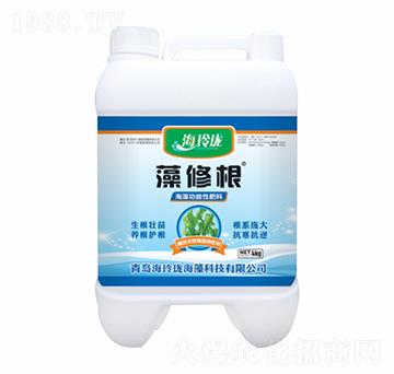 ���޸�-���ᭇ