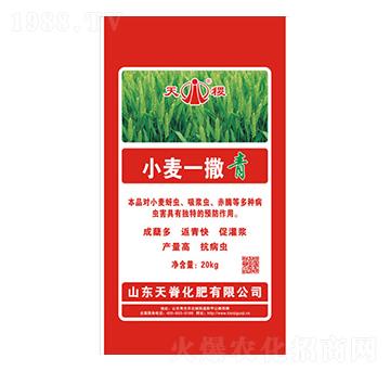 С��һ����-���-�켹