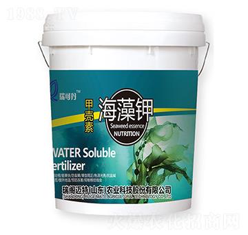 �ך��غ����-��ɵ�-���w�~��