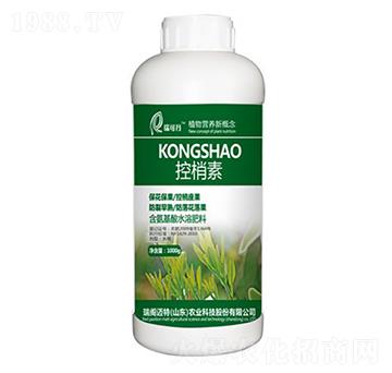 ������-���w�~��