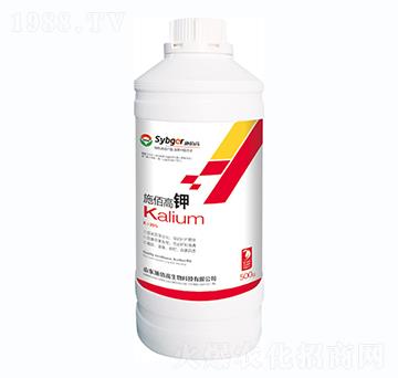 ʩ�۸��-ʩ�۸�