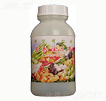 �I�B(y��ng)��5̖(h��o)-�n����