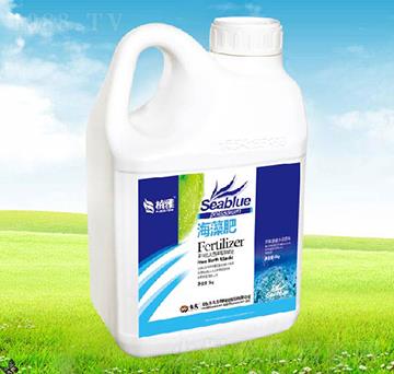 �����-������