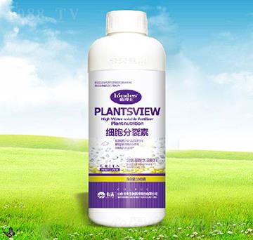 ����������-������