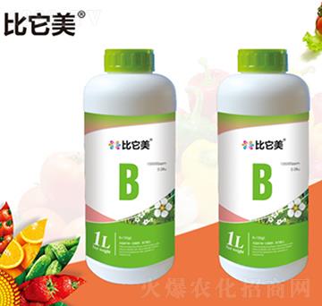 ���������-���{�r(n��ng)��