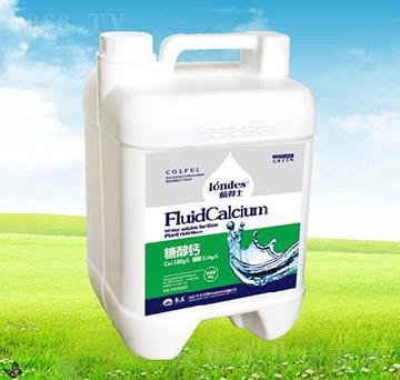 �{��ʿ�Ǵ��}-����