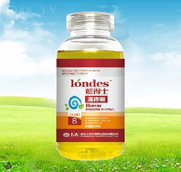 300���{(l��n)��ʿ���w��-����