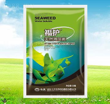 ��Ȼ������-���o(h��)-����