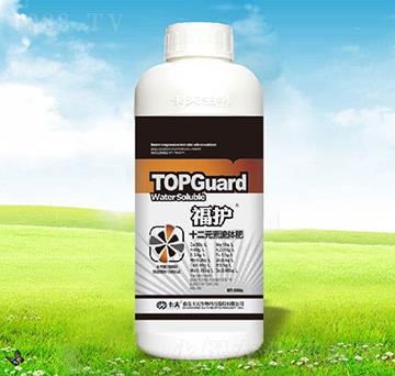 ���oʮ��Ԫ�����w��-����