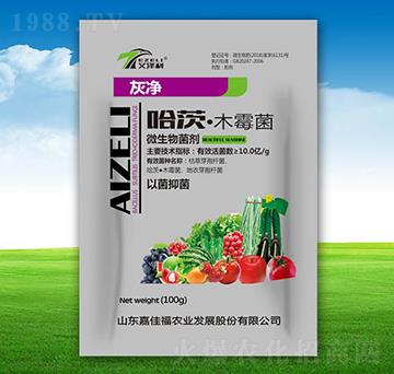 ���ġ�ľù��-�҃�-�μѸ�