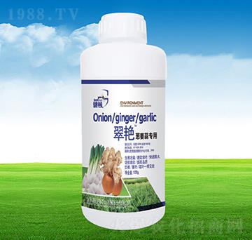 ���G�[���⌣(zhu��n)��-�μѸ�