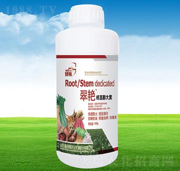 ���G���o�����-�μѸ�