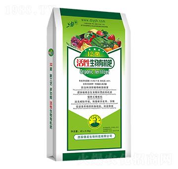 12�������ЙC(j��)��-����-��������