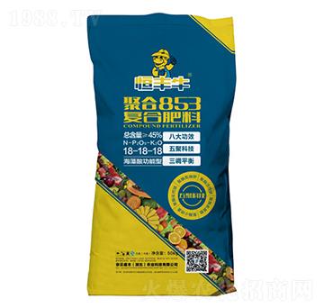 �ۺ�853�ͺϷ���18-18-18-���Sţ-�P�����d