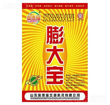 ���-�W�¸�