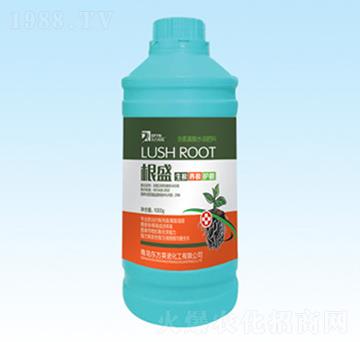 ��ʢ-�|��Ӣ�Z