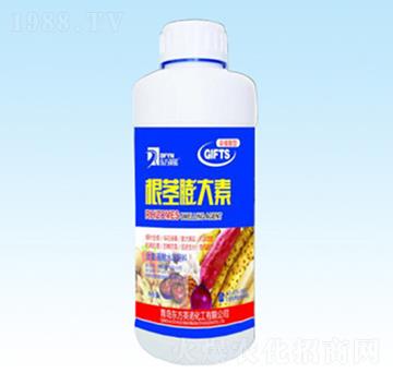 ��������ˮ�ܷ���-���o�����-�|��Ӣ�Z