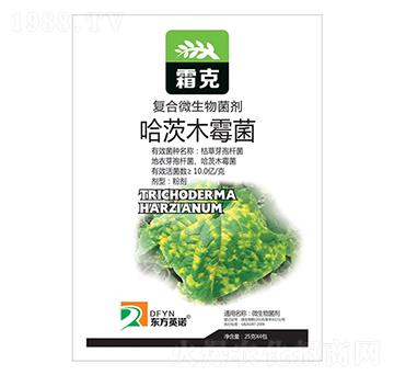 ����ľù��-˪��-�|��Ӣ�Z