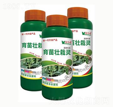 ��������`-�۱���