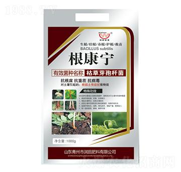 �ݲ�ѿ�ߗU��-������-�������