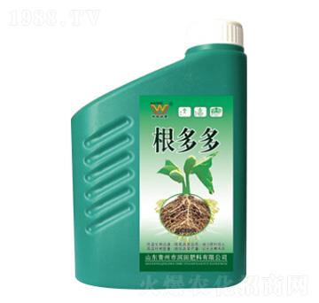 �����-�������