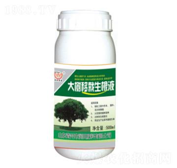 �����������Һ-�����