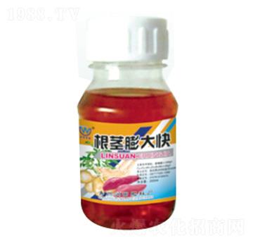 ���o����-�������