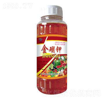 ������~���-�������