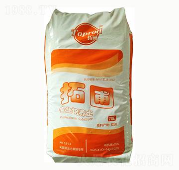 �߲˟o����������-����-���ȶ�