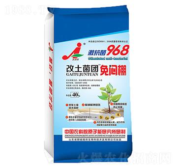 �������F���␞��-��������