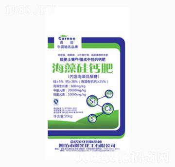 ������}��-ꖹ⻯��