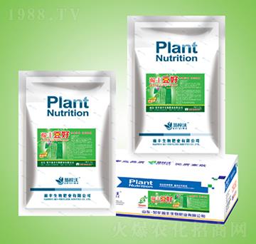 ���b�_ʩ��-����-��S����