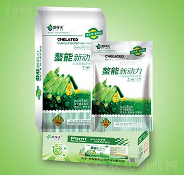 ��������-ʩ����-��S����