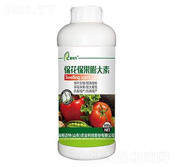 �������������-��ɵ�-���w�~��