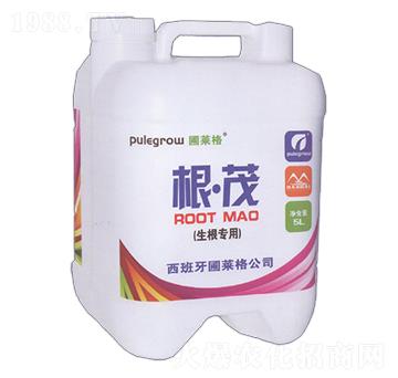 �������ø�ï-���R��-�ƺ�