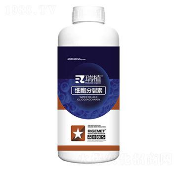 ��(x��)��������-��ֲ-���w�~��