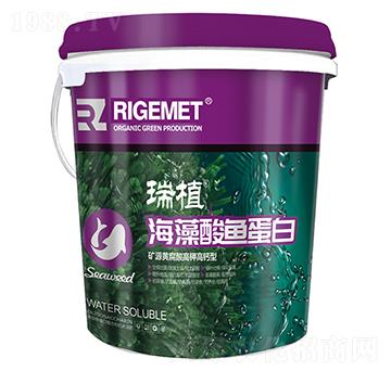 �������~(y��)����-��ֲ-���w�~��