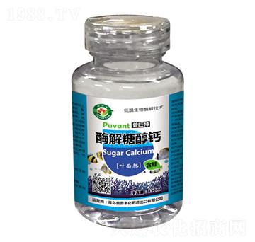 ø���Ǵ��}-������-�W���S