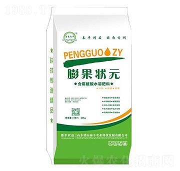 ����ֲ��ˮ�ܷ���-���