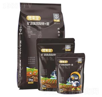 �VԴ�S�����+��-�؁���-ϲ����