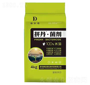 ƴ��������-������