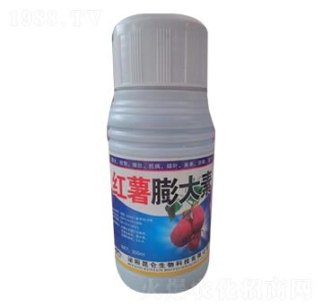 �t�������-��(��i)���_(d��)