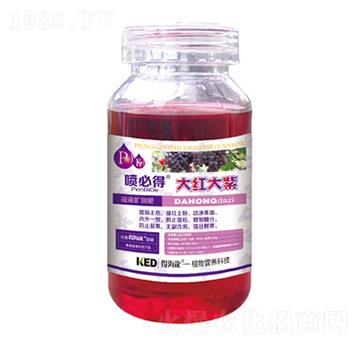 ��t����-���ص�-������