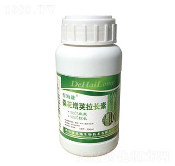 �������v���L��-�ú���-������